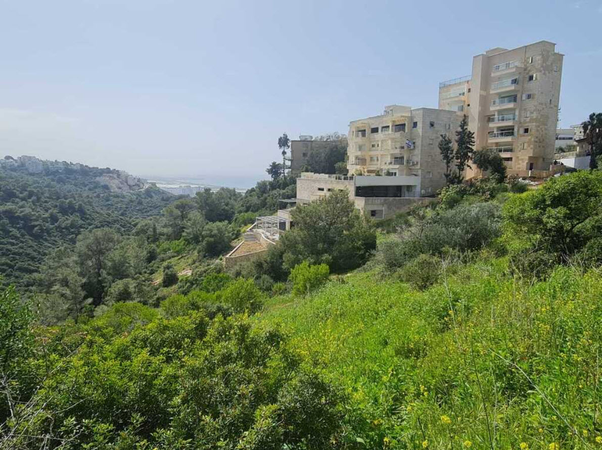 פרויקט הנדל"ן בחיפה, שכונת כרמליה(צילום: יח"צ)